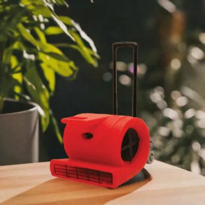 CARPET DRIER
