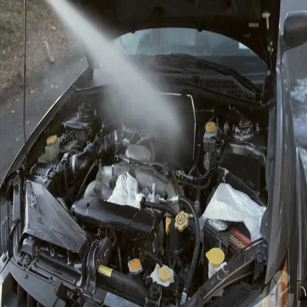 Steam Wash - Image 8