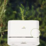 Multifold Mini Hand Towel Paper Dispenser