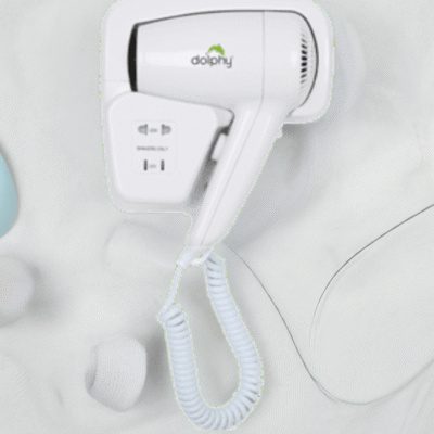 Professional Wall Mounted Hair Dryer