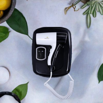 Professional Wall Mounted Hair Dryer
