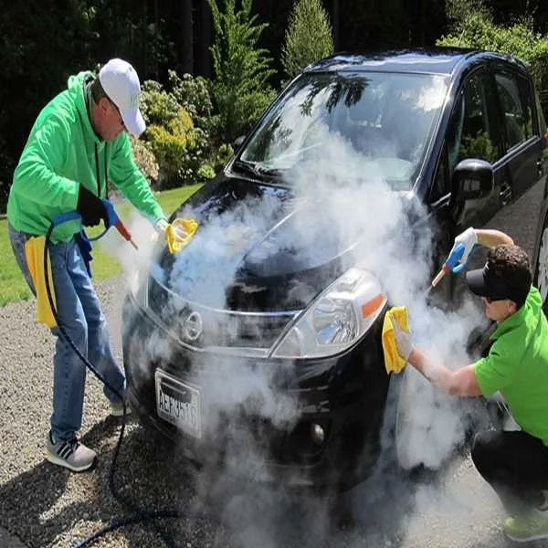 Steam Wash - Image 4
