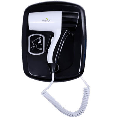 Professional Wall Mounted Hair Dryer