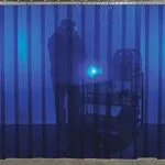 Strip Curtains - Image 10