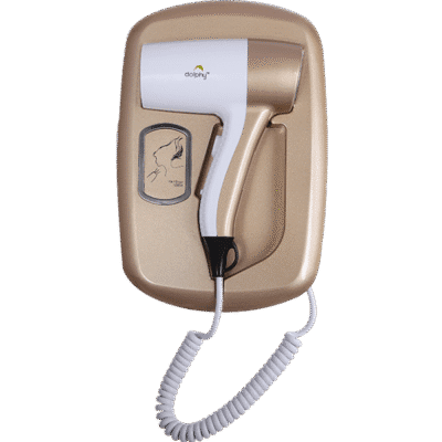 Professional Wall Mounted Hair Dryer